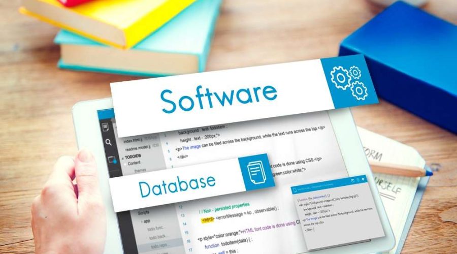 Custom web application development with responsive design and secure backend.